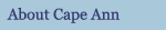 About Cape Ann Real Estate